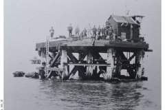 145_10-Off_Bincleaves_c1900