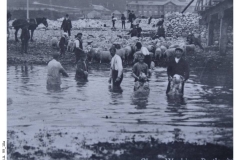 99_10a-Sheep_washing
