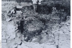 Beehive_Chamber-01