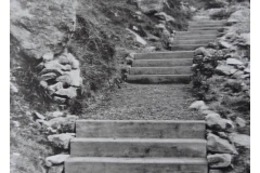 129_11-c1900