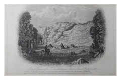 Fossil_Forest-P502-61