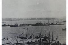 Navy & Port