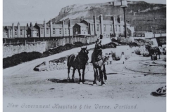 109_3-Govnmt_Hospitals