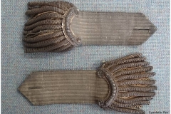 Epaulette-Pair-upperside