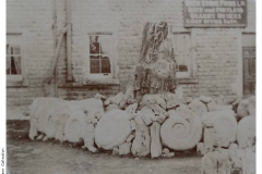 Fossil_Coll_Bath_Stone_Co-P502-76