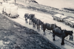 Horse&Wagon-01