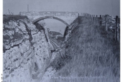 Redbridge(3)-108_19