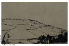 Fields_in_Underhill