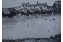 60_21-Weston_Pond-c1905