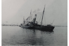 Devonia(1)