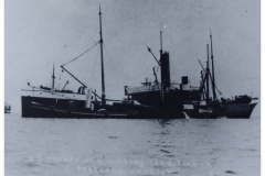 Hepepa(1)