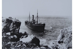 Myrtledene(8)