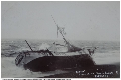 Patria(1)