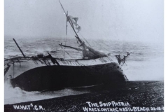 Patria(5)
