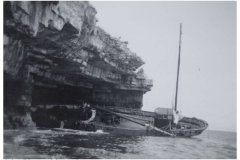 Reliance(1)