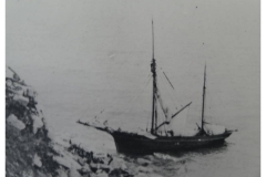 Wreck(13)