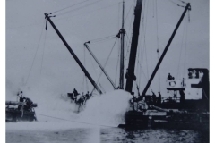 Wreck(21)