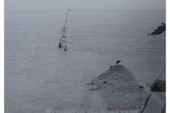 Wreck(24)