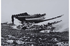 Wreck(28)