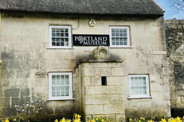 Image of Marie Stopes Cottage, Portland Museum with Daffodils sweeping the grass verge in front of the cottage.