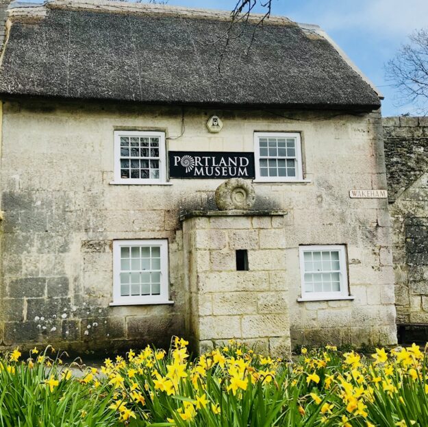Image of Marie Stopes Cottage, Portland Museum with Daffodils sweeping the grass verge in front of the cottage.