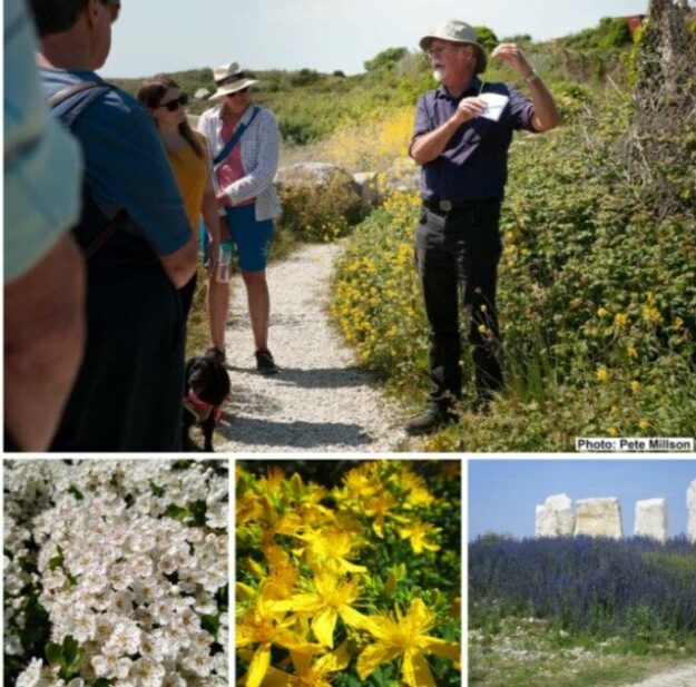 7236FDC9-EBD5-47EA-A342-DC97F367ECD4